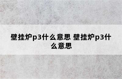 壁挂炉p3什么意思 壁挂炉p3什么意思